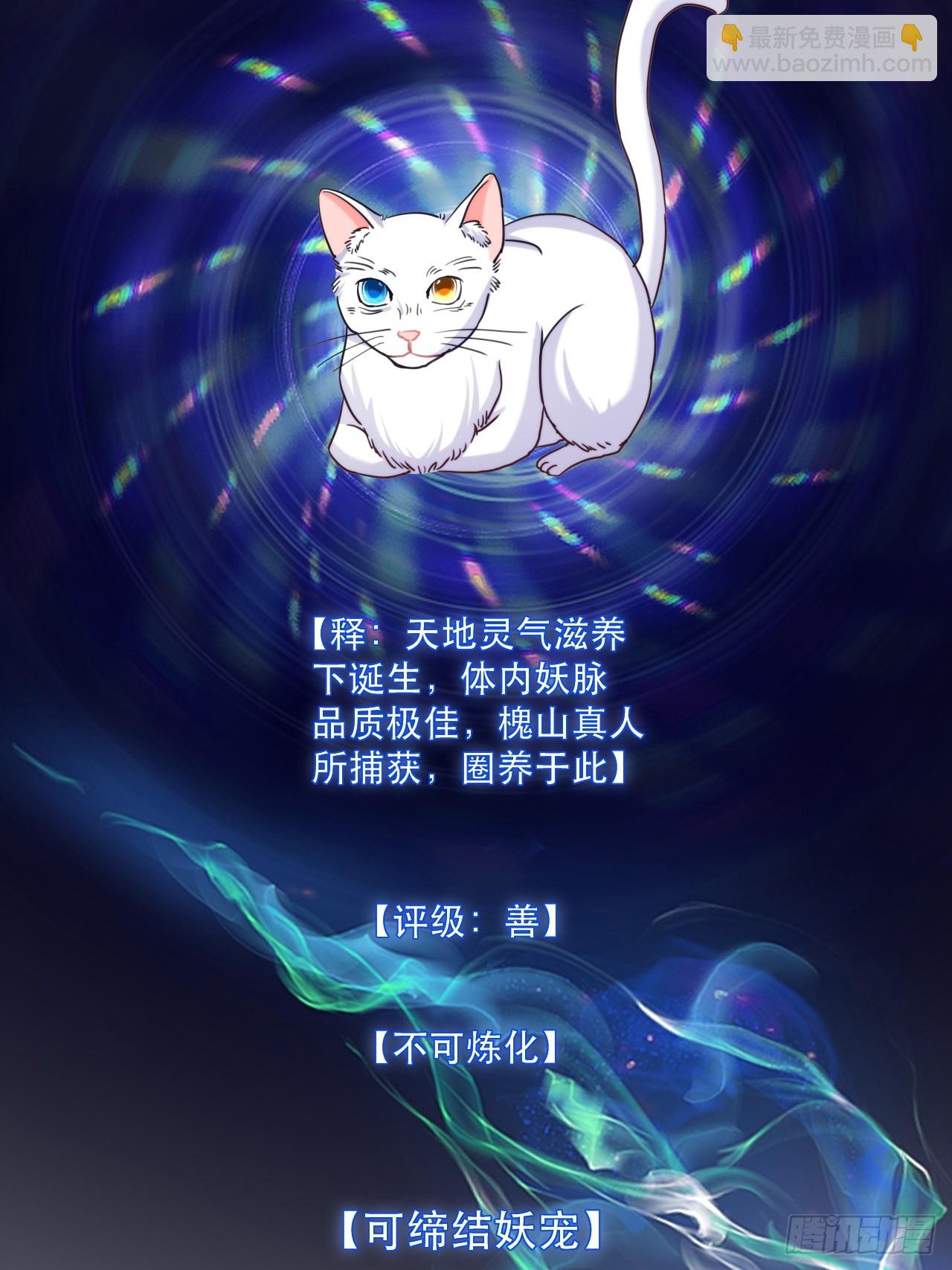 双瞳妖猫-第60话