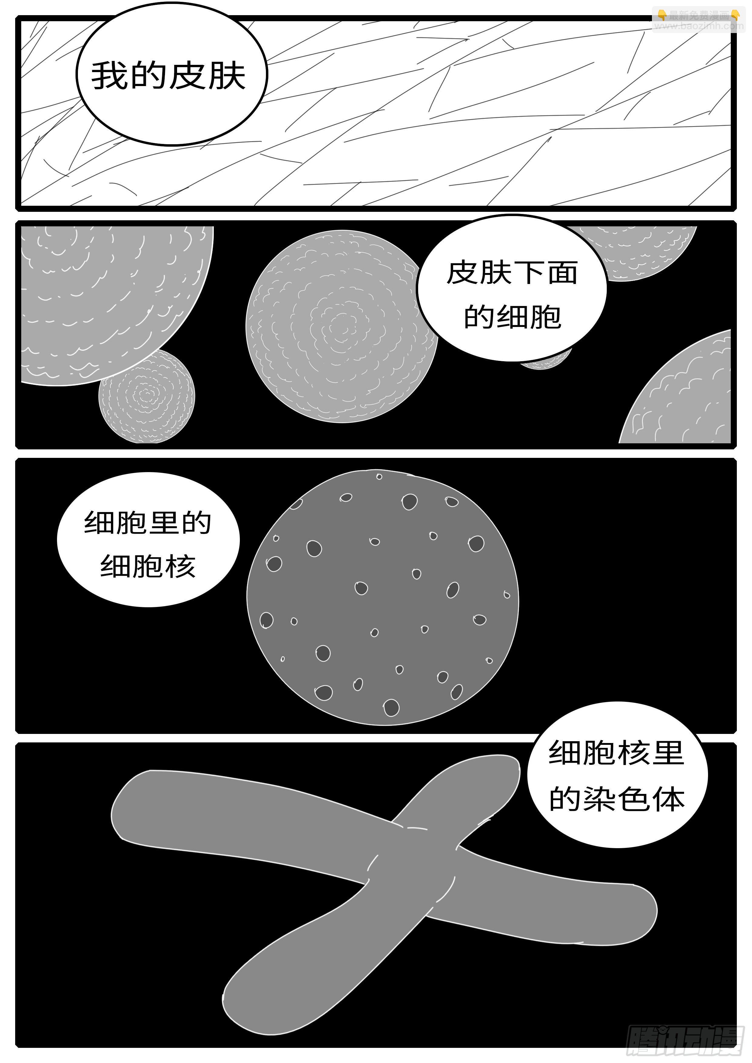 🍘world game 15年5月12日16点32分 第5页
