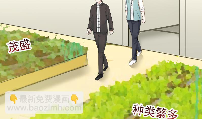 第32话 药草-第32话