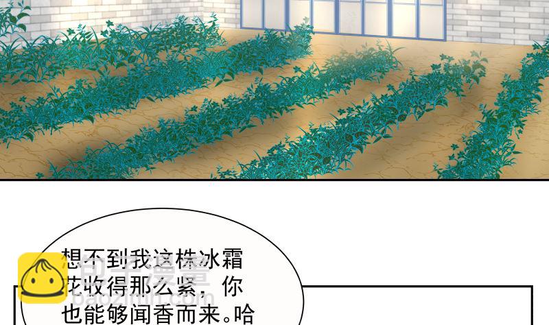 第392话 神秘附属品(1/2)-第392话