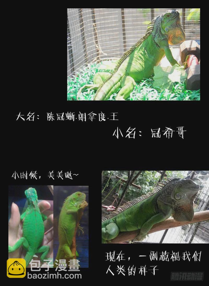 4.白慧真身-第4话