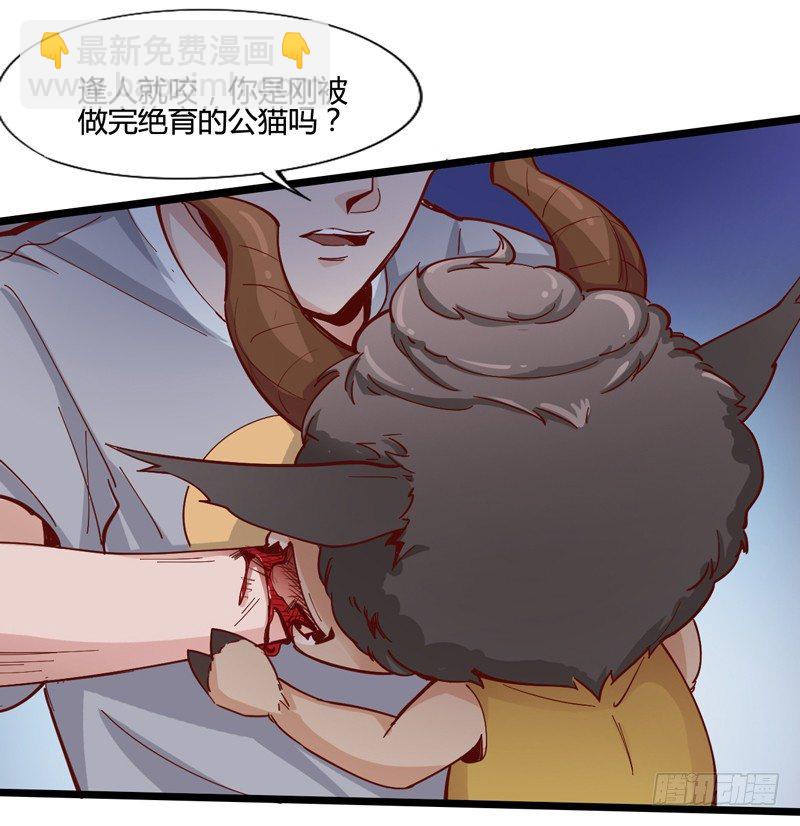 宠物也是家庭中很重要的一员(1/2)-第16话
