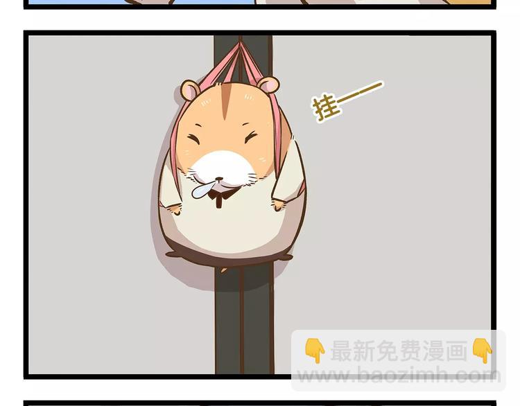第14话 誓死保卫仓鼠！-第14话
