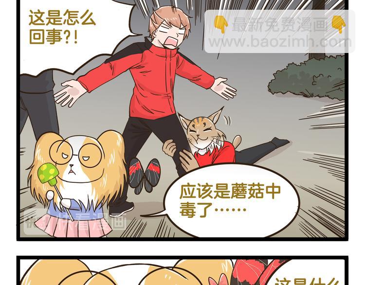 第143话 登山历险记 下篇-第144话