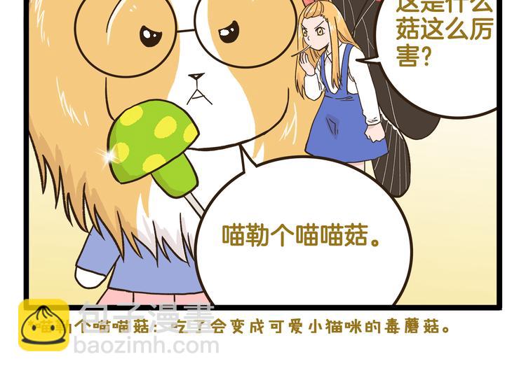 第143话 登山历险记 下篇-第144话