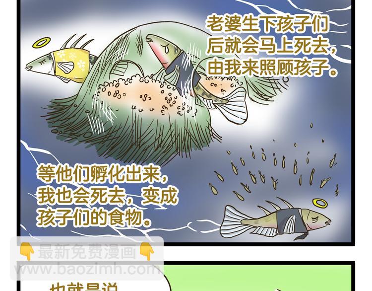 第151话 最爱你的人-第152话