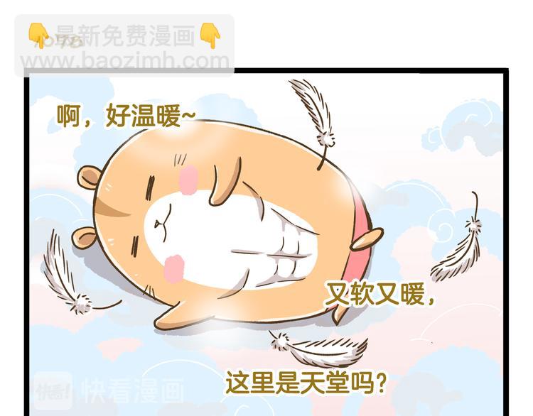 第155话 布丁的腹肌-第156话