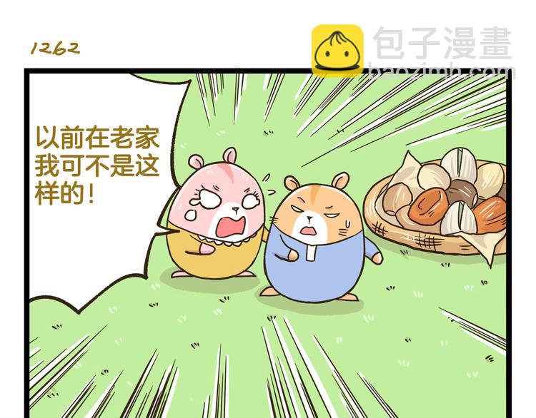 第181话 会唱歌的小仓鼠-第182话