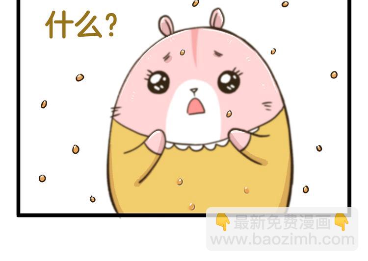 第181话 会唱歌的小仓鼠-第182话