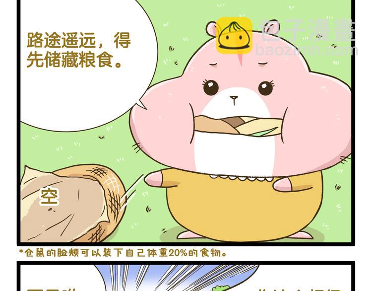 第181话 会唱歌的小仓鼠-第182话