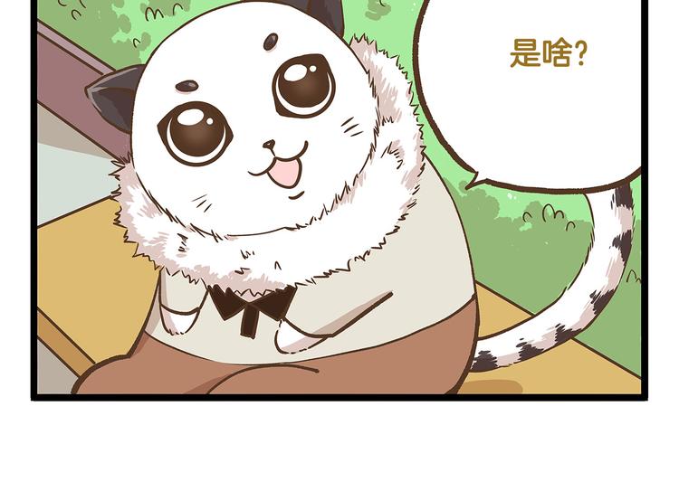 第30话 夏日大乱斗-第30话