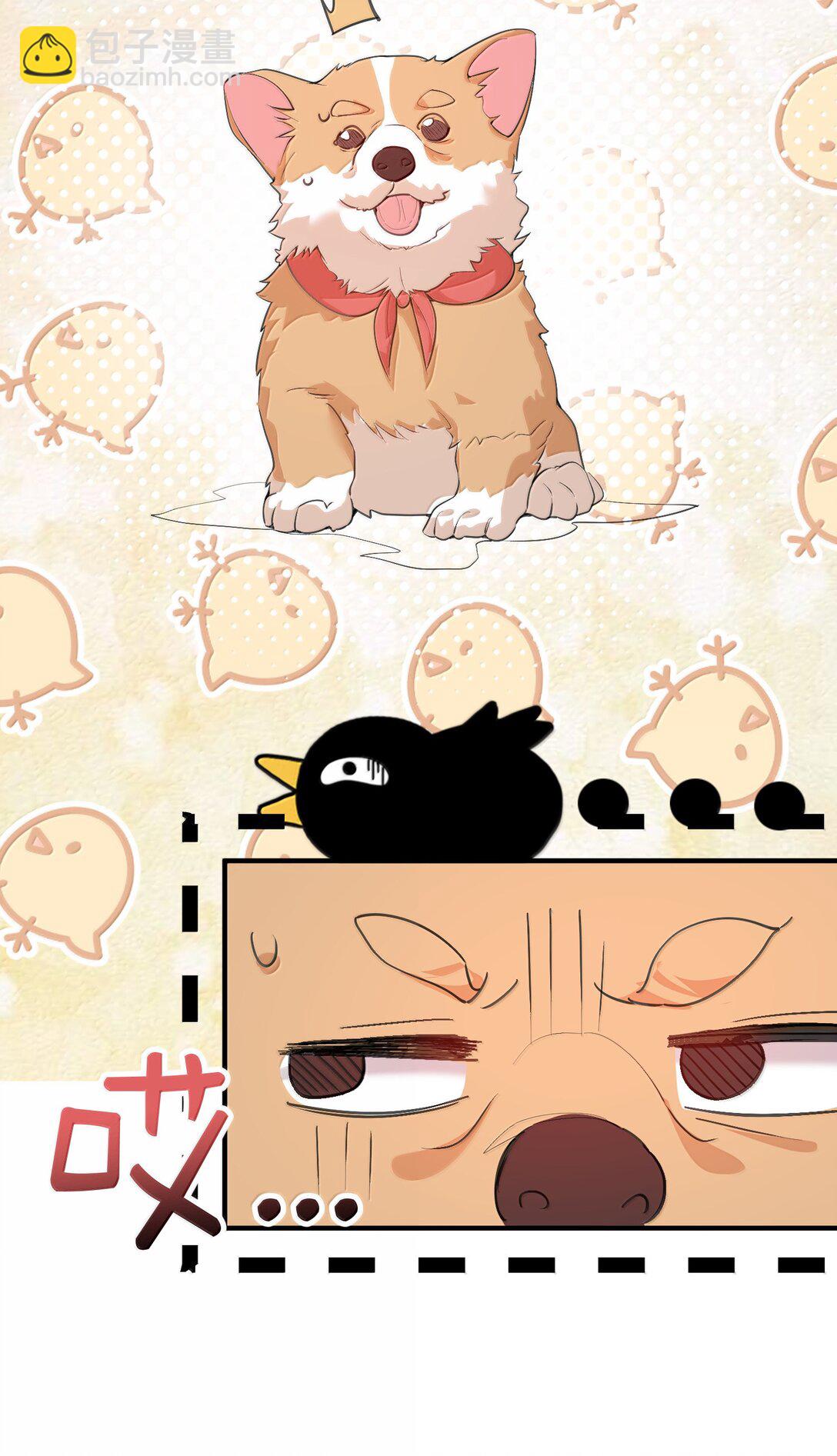 303 相亲-第304话