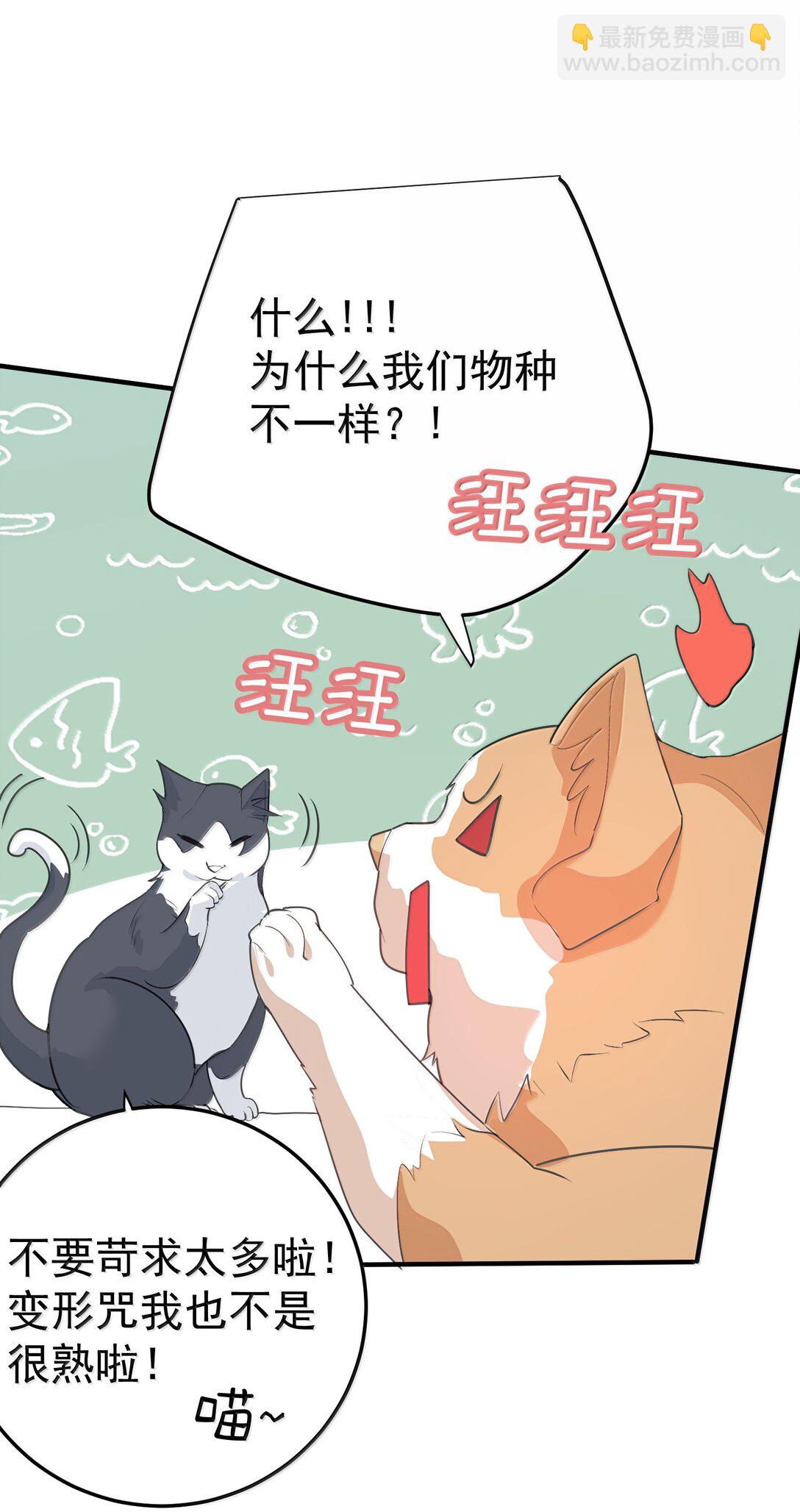 303 相亲-第304话