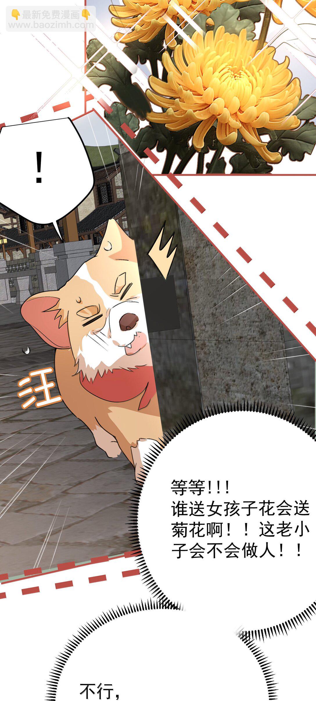303 相亲-第304话