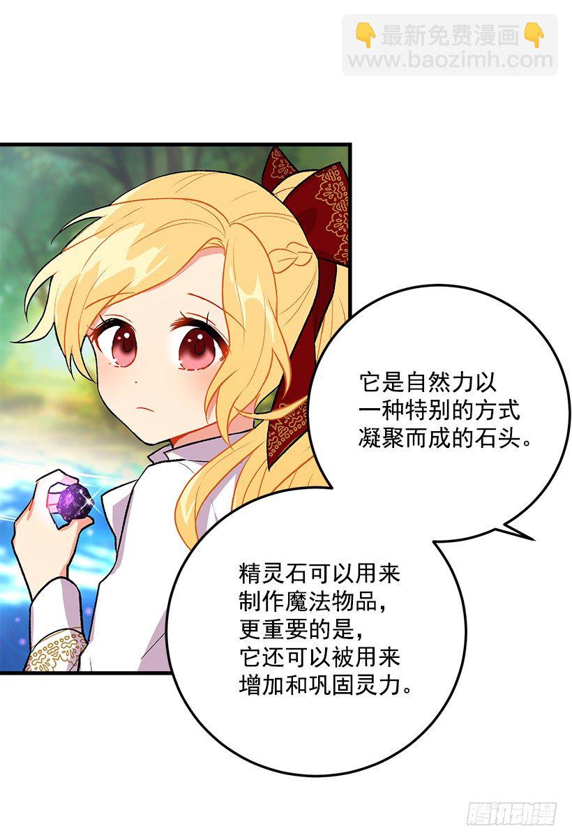 🍘我是这家的孩子 精灵石 第39页