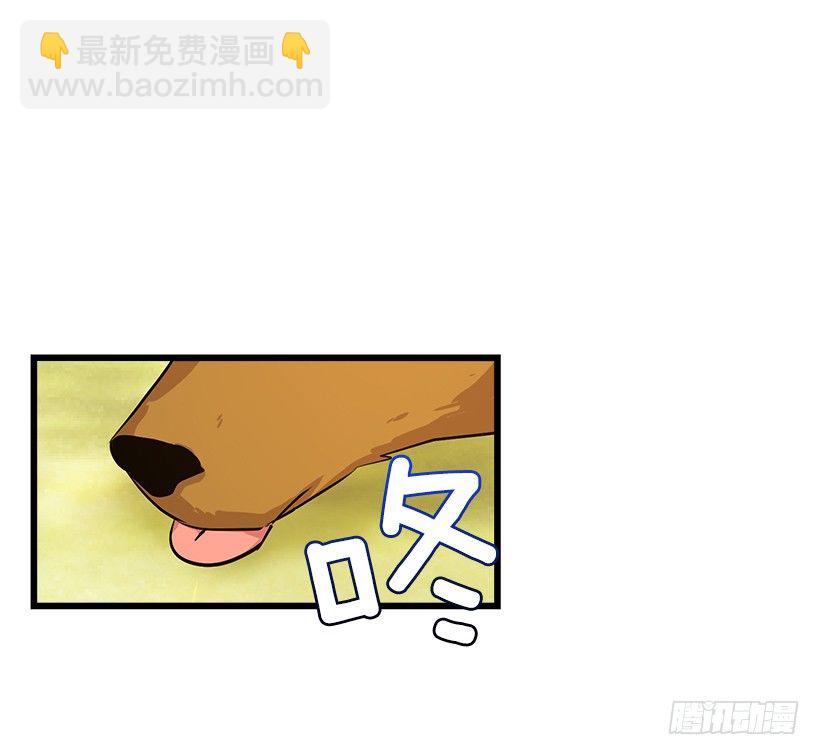 🍘我是这家的孩子 熊 第12页