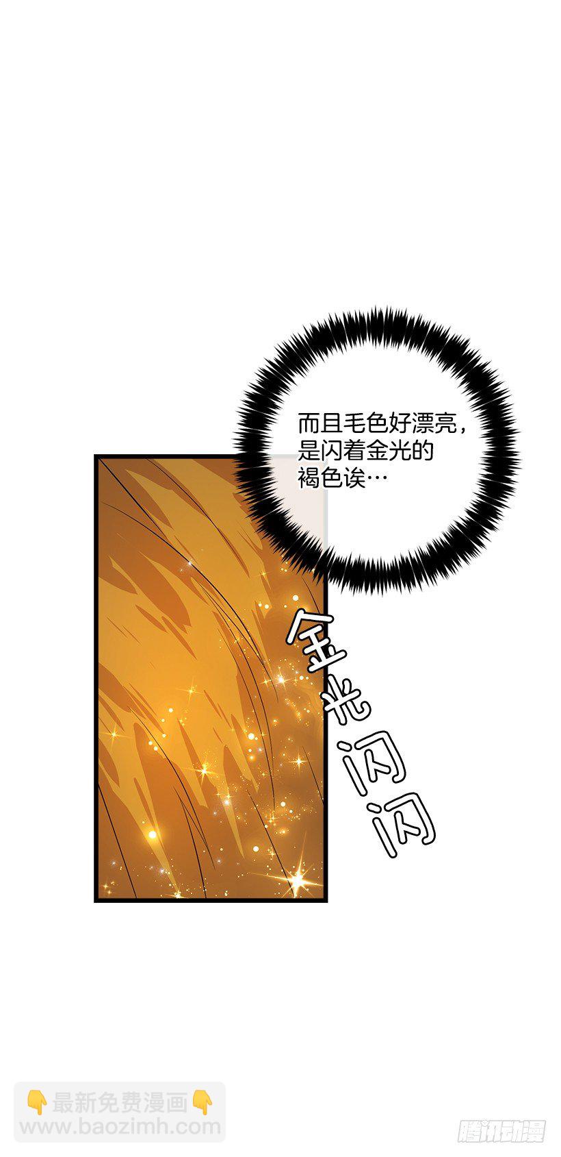 🍘我是这家的孩子 熊 第15页