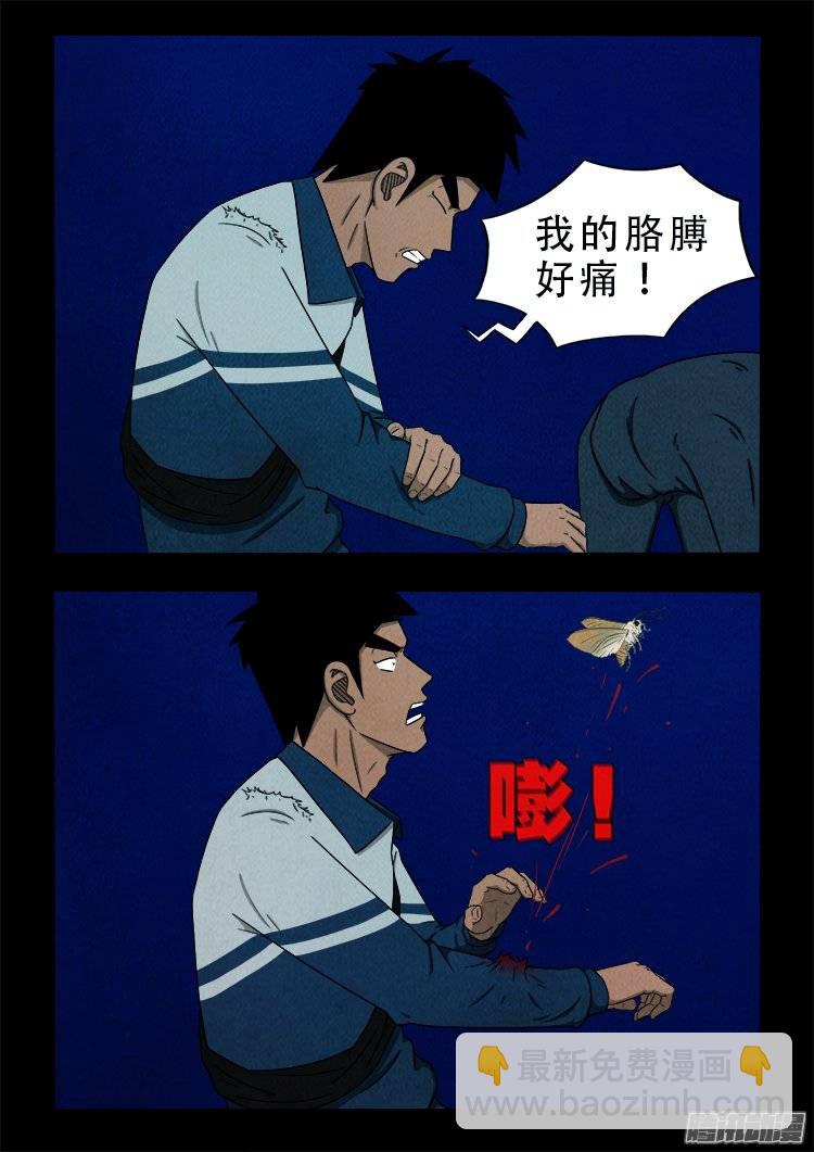 鹦鹉大厦 15-第172话