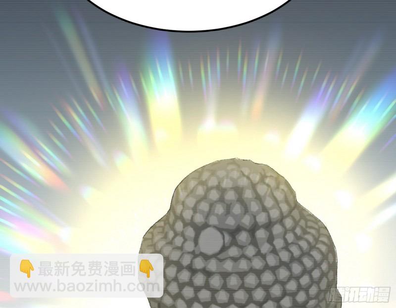 🍘我为邪帝 劝君怜取眼前人 第12页