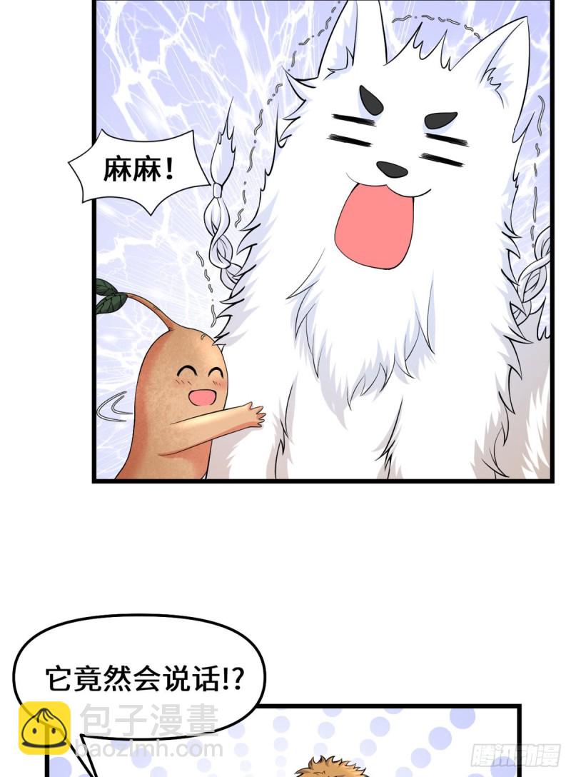 🍘我修的可能是假仙 第180话 要不要脸！ 第13页
