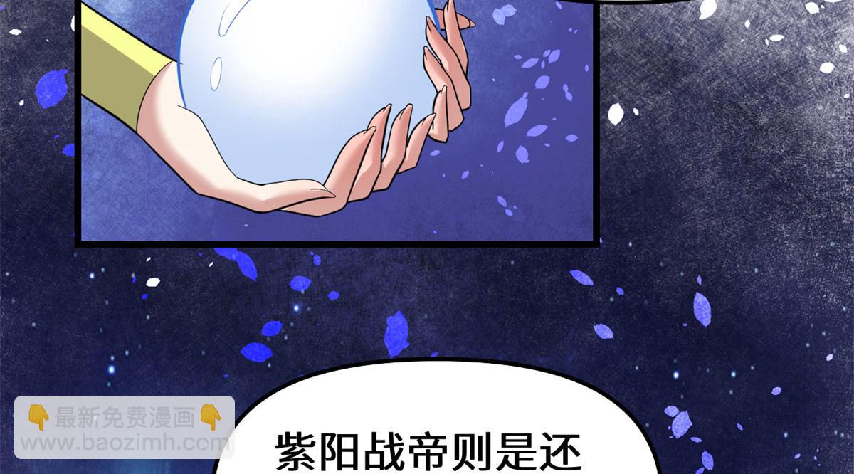 🍘我修的可能是假仙 222 如何维护和平？ 第13页
