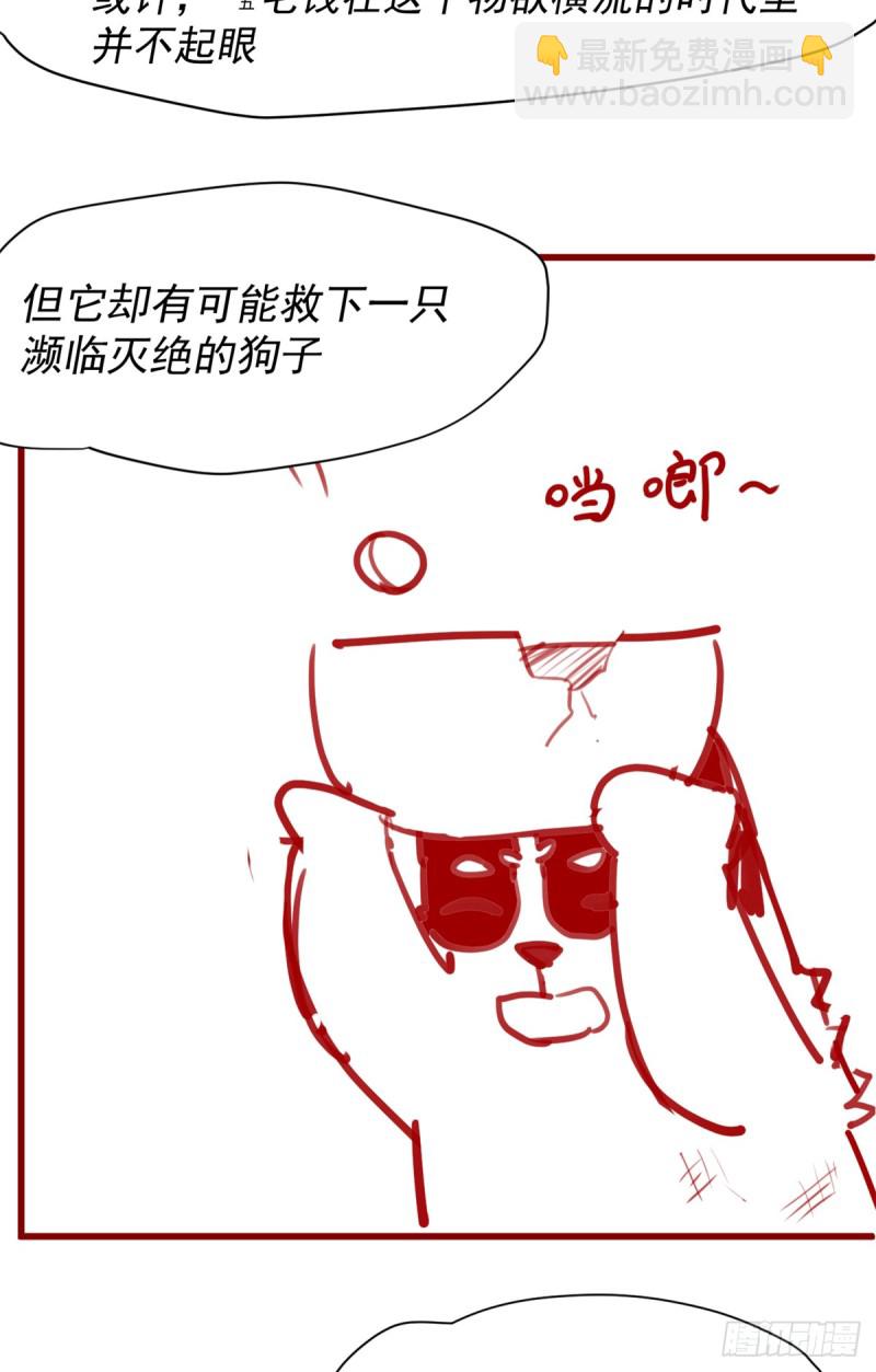 🍘我修的可能是假仙 第62话 年终测验 第4页