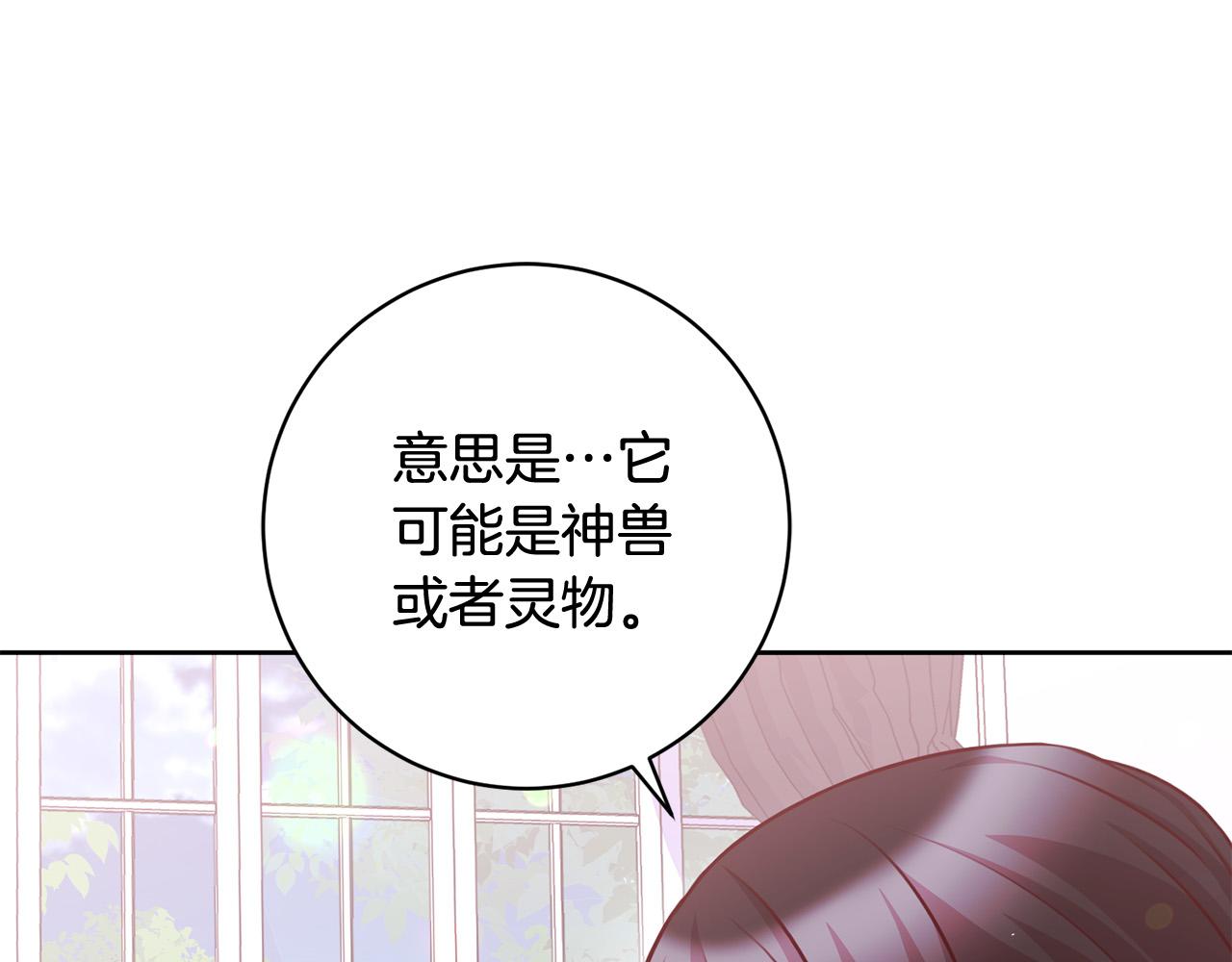 第27话 我的鸟是天使？(1/4)-第28话