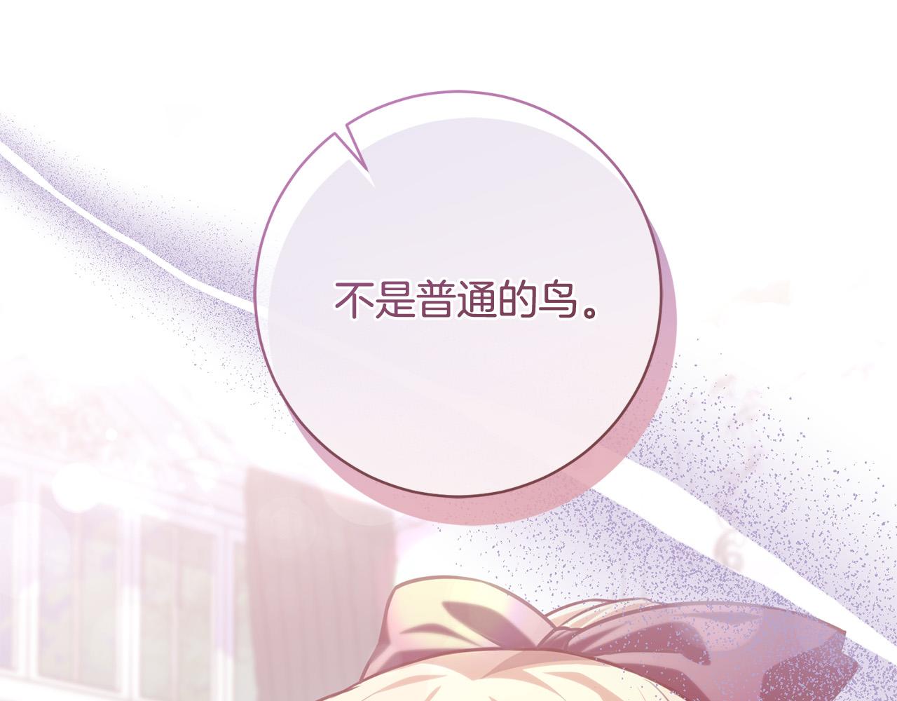 第27话 我的鸟是天使？(1/4)-第28话