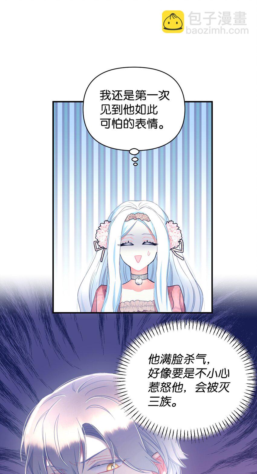 14 宠物福利大放送(1/2)-第14话