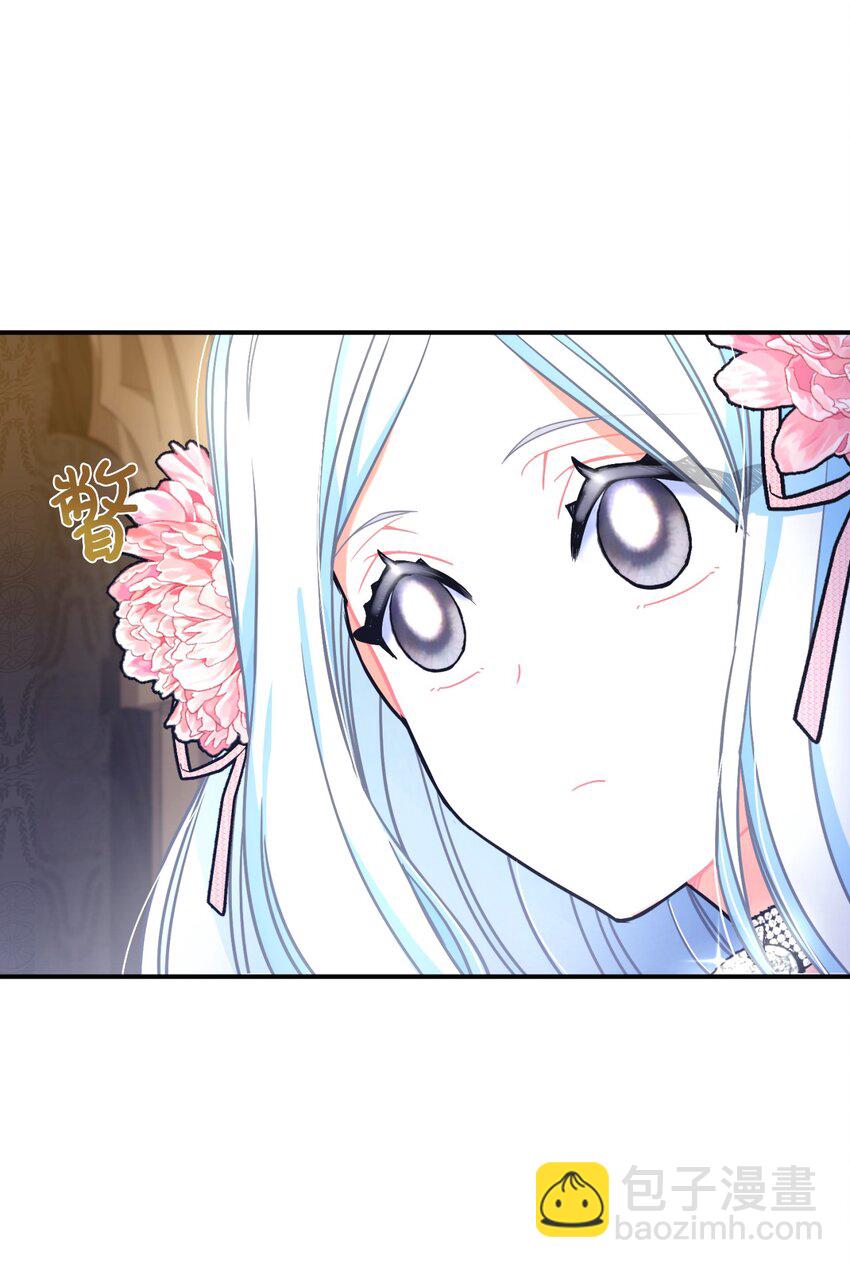 14 宠物福利大放送(1/2)-第14话