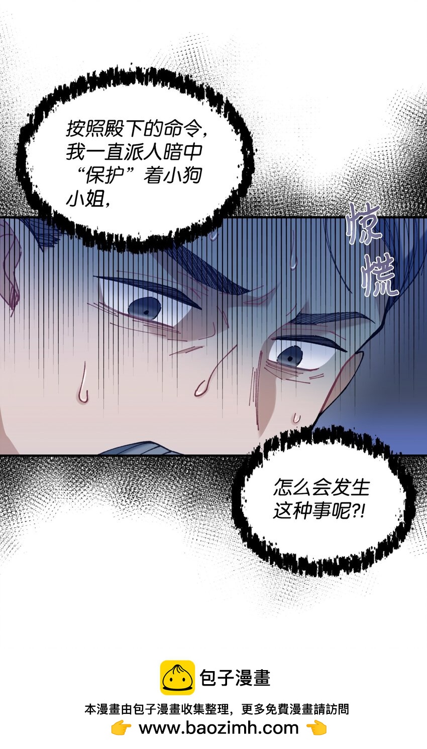 08 小狗小姐失踪了(1/2)-第8话