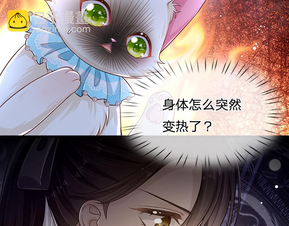 第155话 被光选中的喵(1/2)-第156话