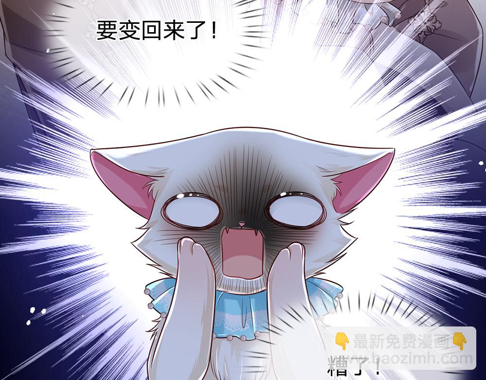 第155话 被光选中的喵(1/2)-第156话