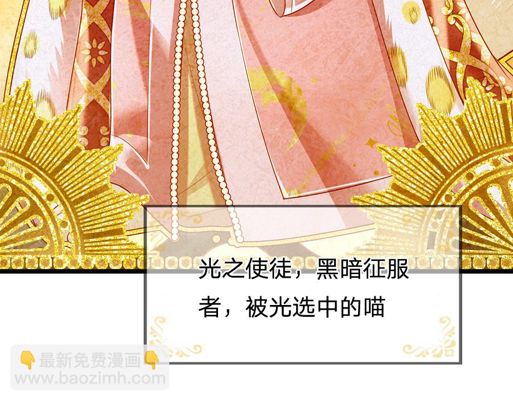 第155话 被光选中的喵(1/2)-第156话