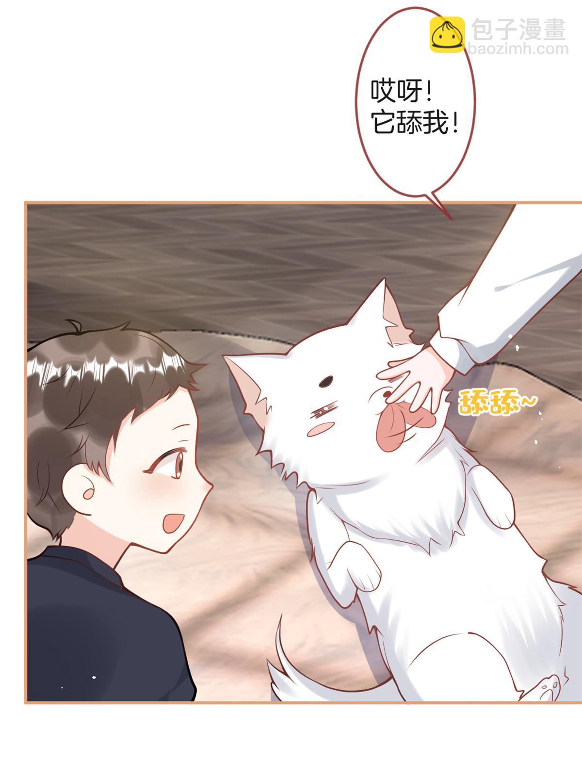 番外14-第178话