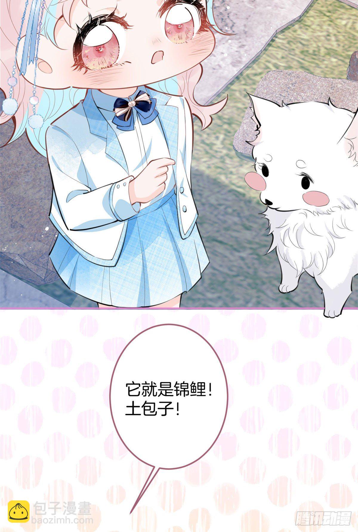 35(1/2)-第36话