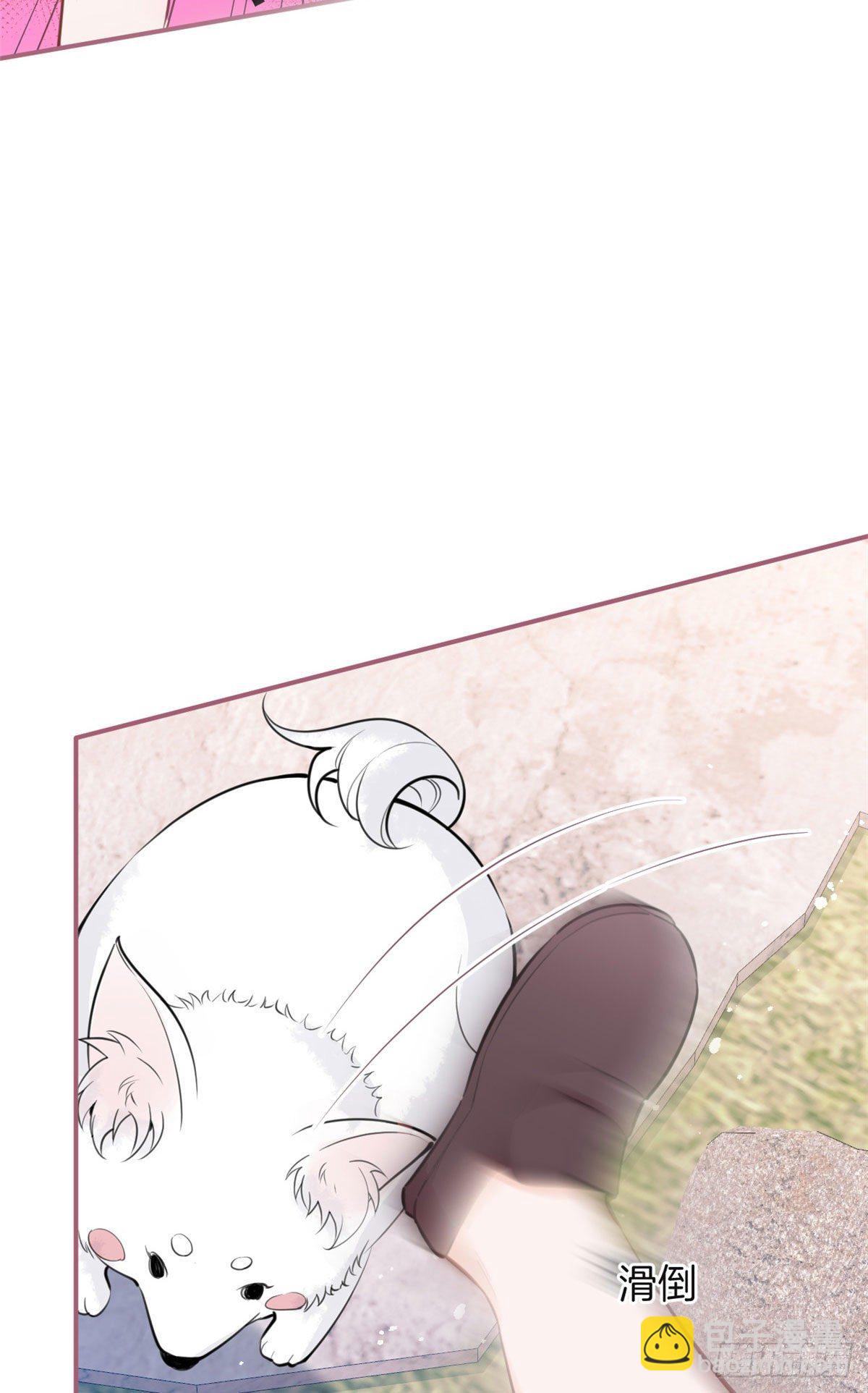 35(1/2)-第36话
