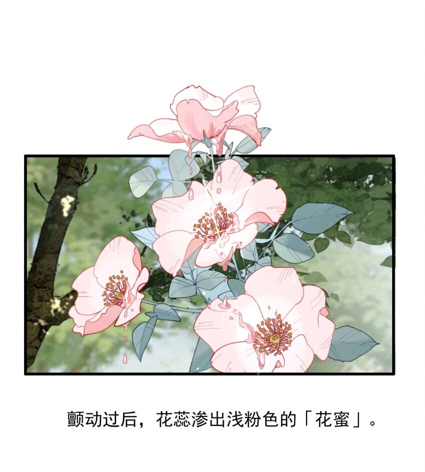 96 舞会前夕（上）-第96话