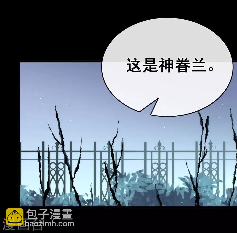 第72话 真爱奇迹(1/2)-第74话