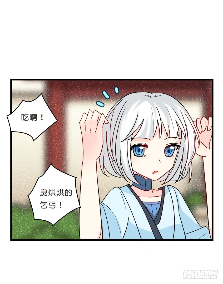 路边捡了个小狼狗(1/2)-第10话