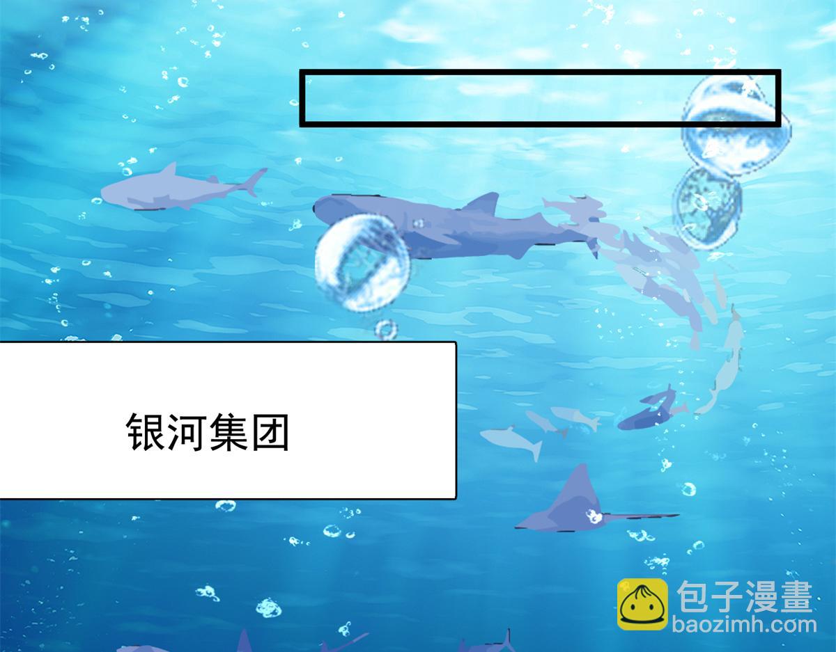 218 考察银河集团(1/2)-第218话