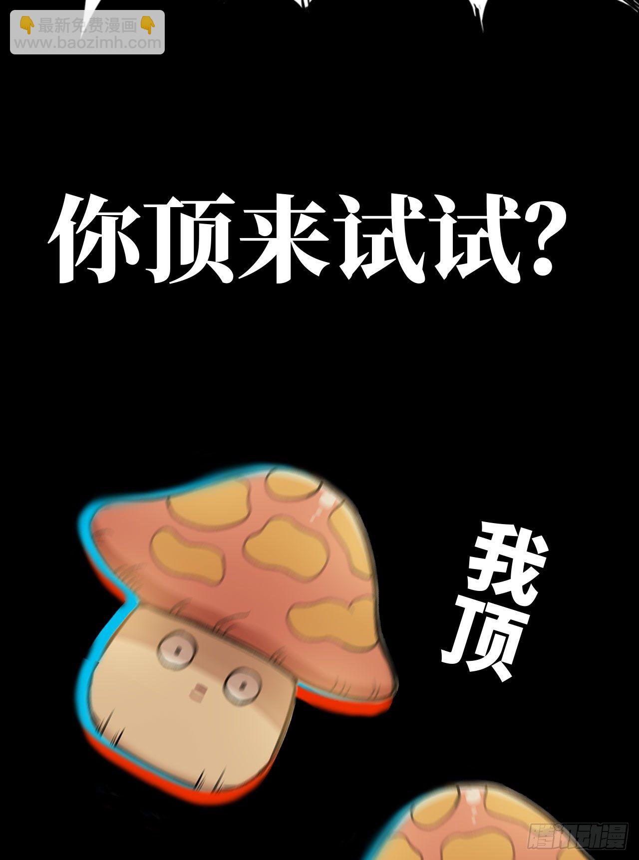 新作推荐-第246话