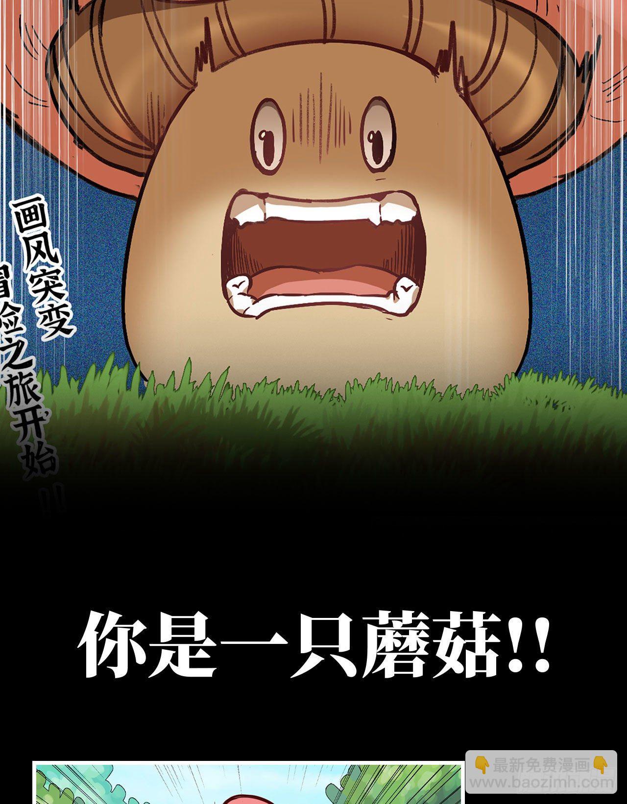 新作推荐-第246话