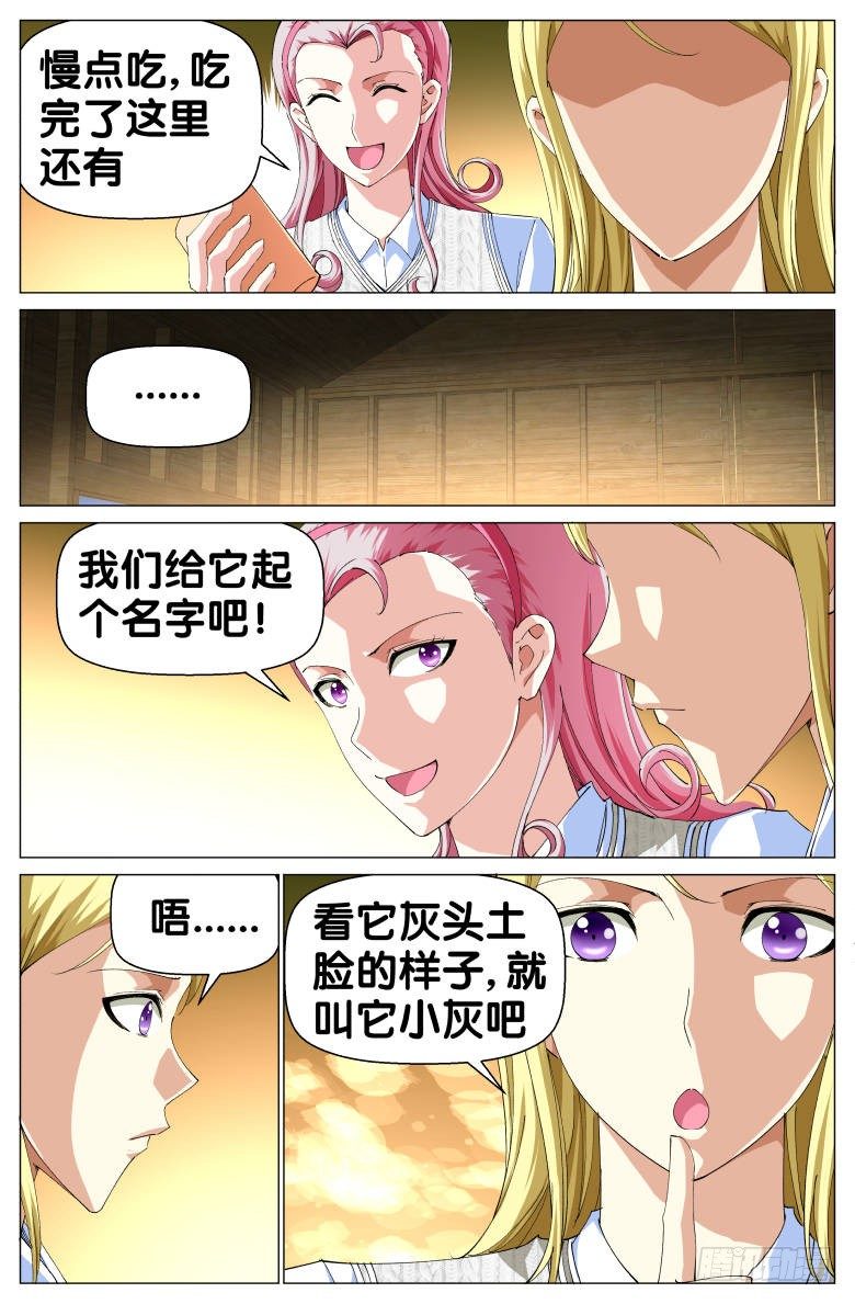 第50话：小灰-第50话