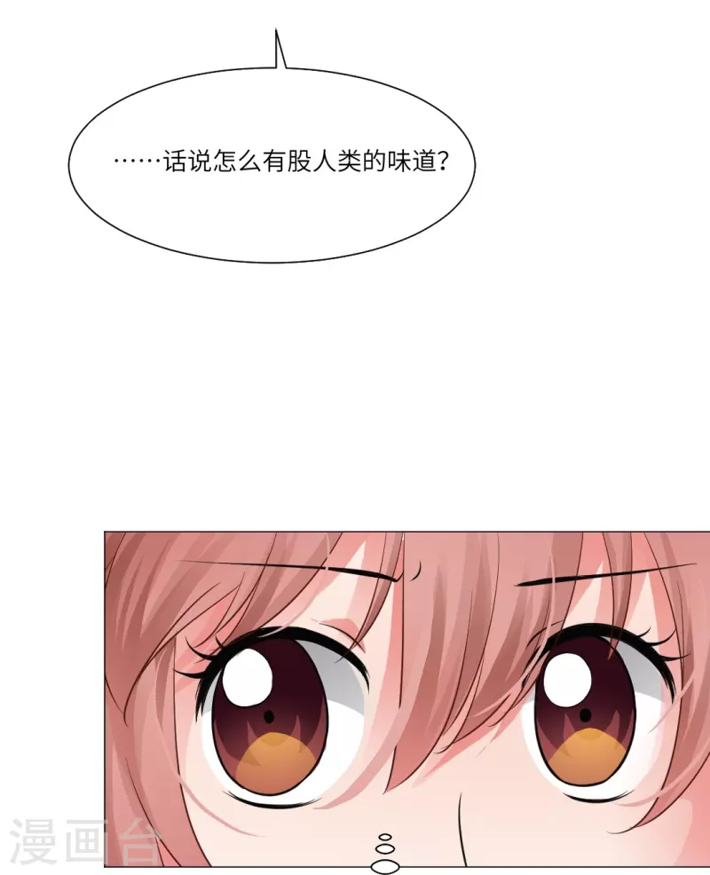 第24话 不许说白夜的坏话！-第24话