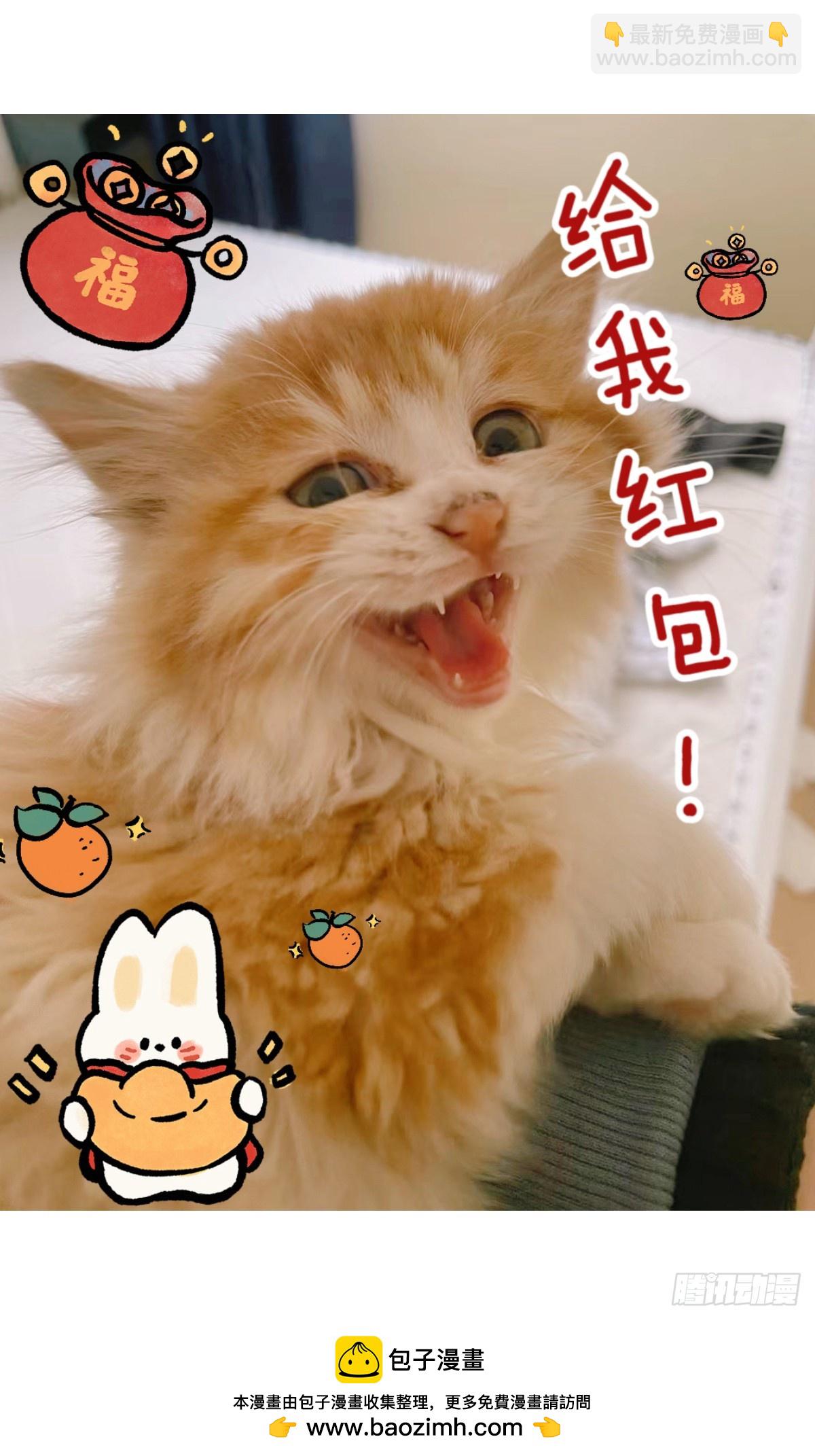 🍘我在异界当教父 573-你总算是回来了 第17页