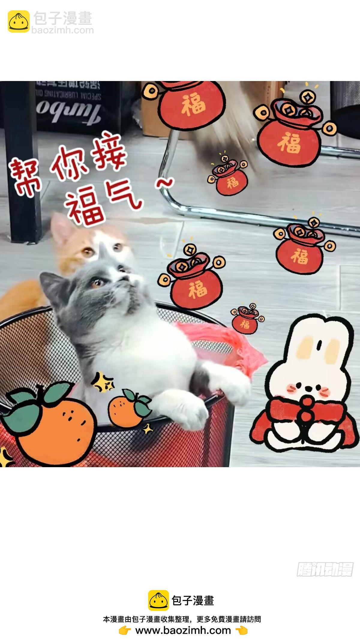 🍘我在异界当教父 577-真就这么走了？ 第16页
