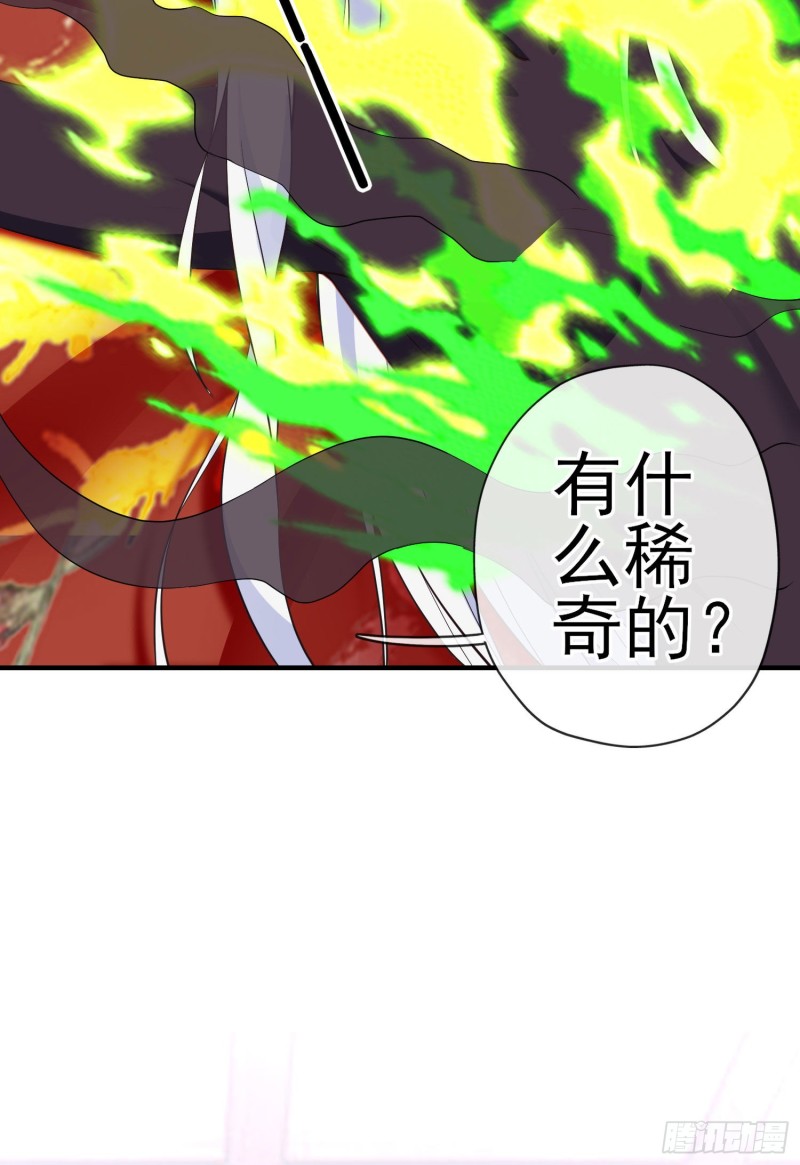 梦/笼（上）(1/2)-第204话