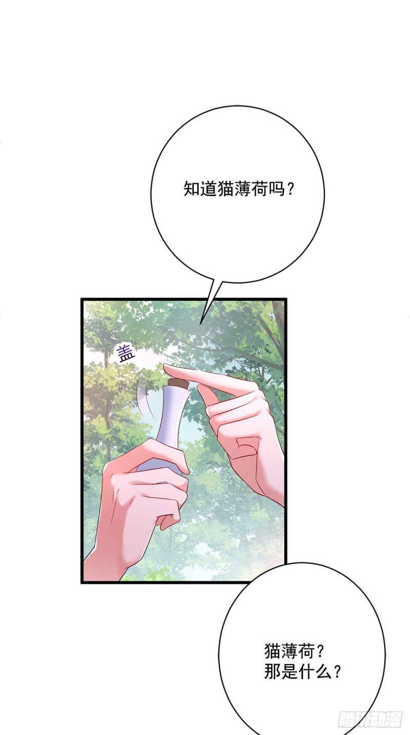 第109话 二级灵兽-第110话