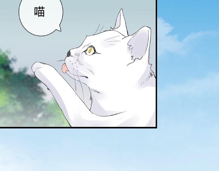 第42话 猫妖(1/2)-第42话